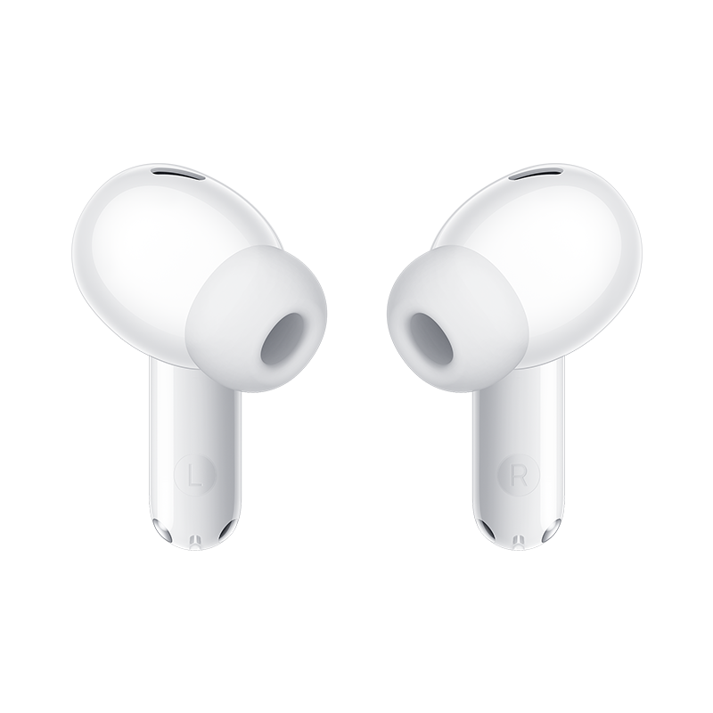 800_800_E3C3B5B3E8DDDD894026F40D0860F406